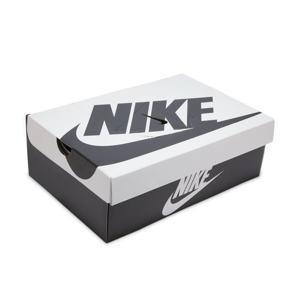 Dunk Low Retro Se Panda